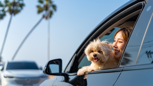 Young Asian woman road trip travel with dog on EV car. stock photo