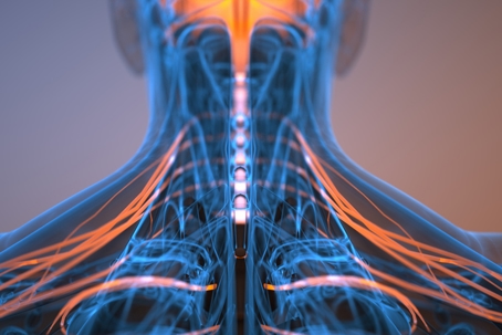 nerve damage spinal