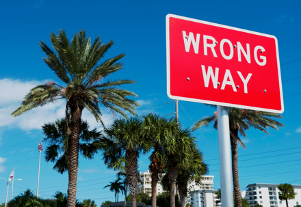 Wrong-Way Crash Victims