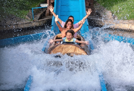 Happy family having fun in an amusement park stock photo